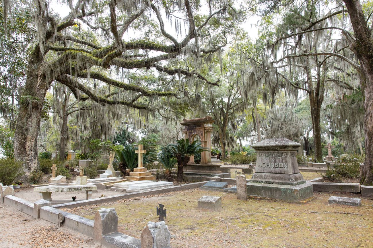 Bonaventure Cemetery in February